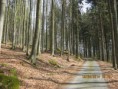 /album/fotogalerie/trasovani-toulani-3-013-jpg/